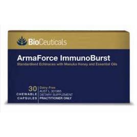 BC アーマフォース 免疫バースト チュアブル 30錠